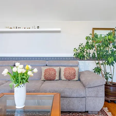 Cozy By The River Near Old Town Apartment Kaunas